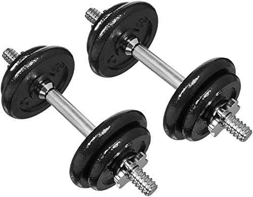 Amazon Basics Amazon Basics 38 lb Adjustable Dumbbell Set with Case