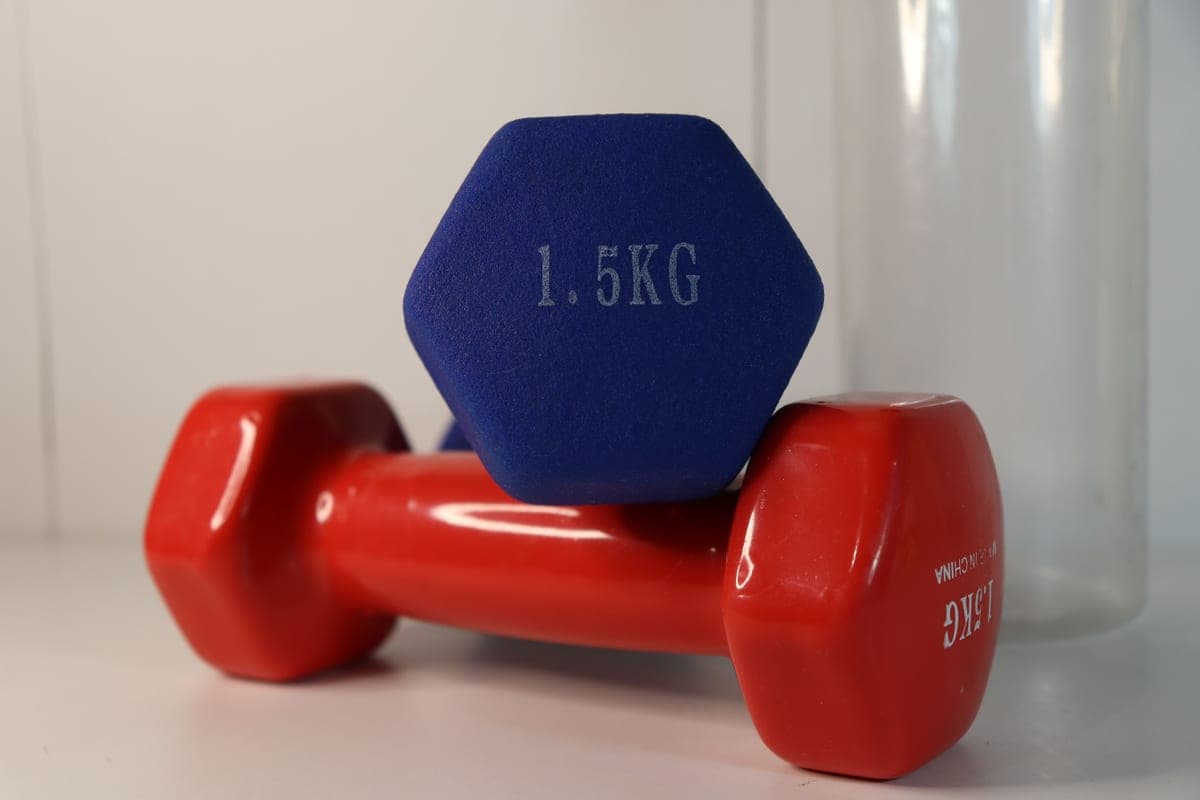 Small-Space Gym Guides
